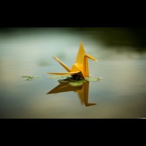 Meet your Posher, Diana